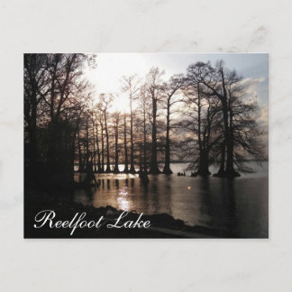 Cypress Sunset at Reelfoot Postcard