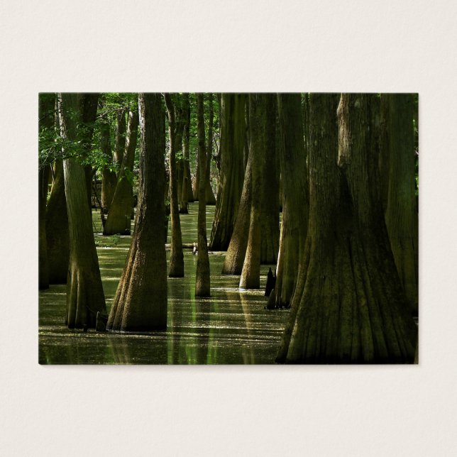 Cypress Swamp ATC Card (Front)