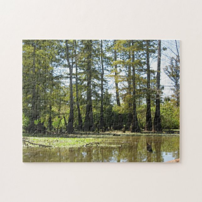 Cypress Swamp Landscape Jigsaw Puzzle (Horizontal)