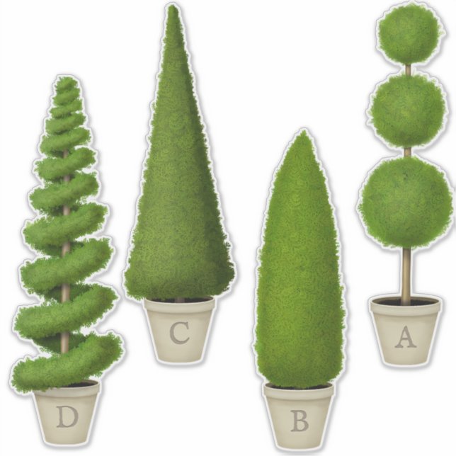 Cypress Topiary Collection Custom Monogrammed (Front)