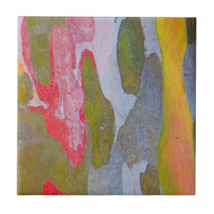 Cypress tree bark patterns, Italy Tile