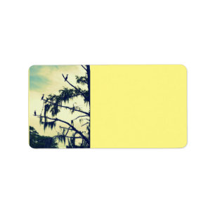 Cypress Tree Birds Return Address Labels