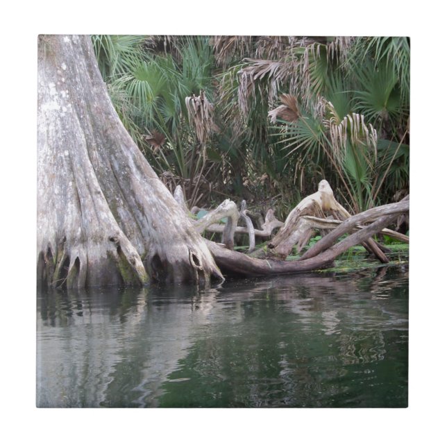 Cypress tree knees reflected tile (Front)