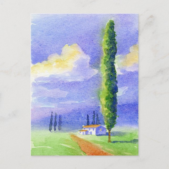 Cypress tree postcard (Front)