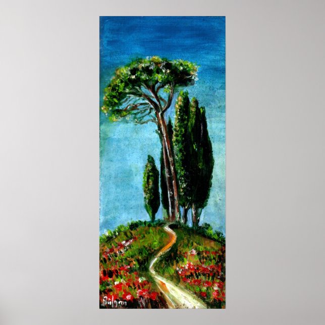 CYPRESS TREES AND MEDITERRANIAN PINE IN TUSCANY POSTER (Front)
