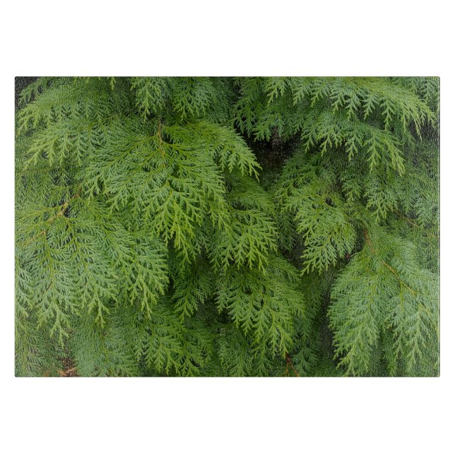 Cypress trees cutting board (Front)