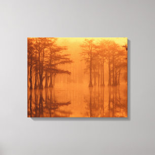 Cypress Trees George Smith State Park Canvas Print