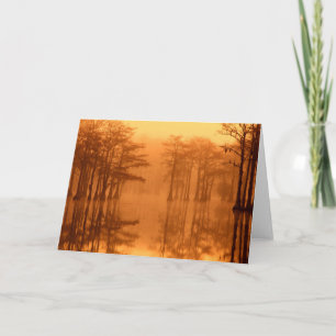 Cypress Trees George Smith State Park Card