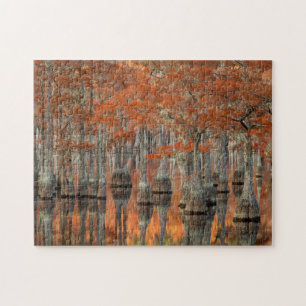 Cypress Trees   George Smith State Park, Georgia Jigsaw Puzzle