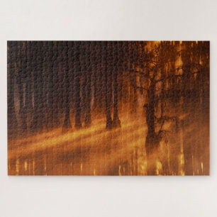 Cypress Trees   George Smith State Park Jigsaw Puzzle