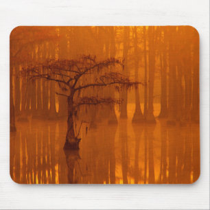 Cypress Trees   George Smith State Park Mouse Mat
