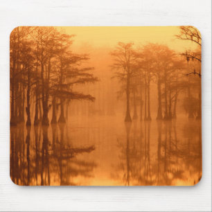 Cypress Trees George Smith State Park Mouse Mat