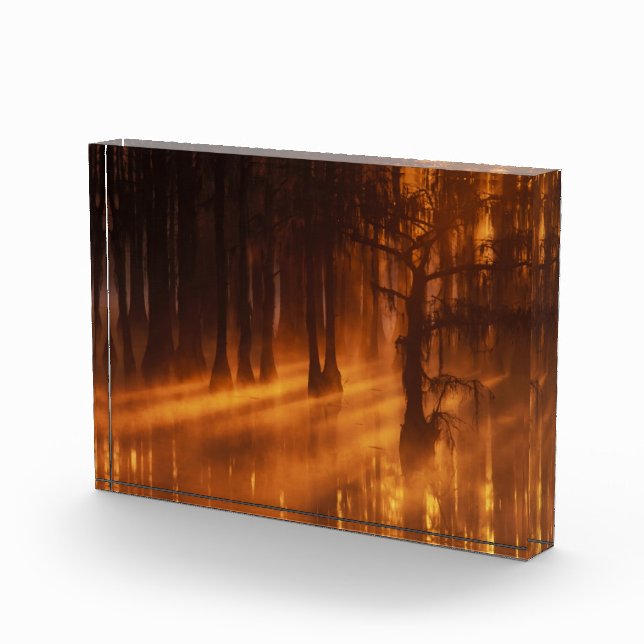 Cypress Trees | George Smith State Park Photo Block (Right)
