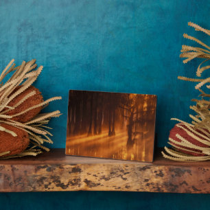 Cypress Trees   George Smith State Park Plaque