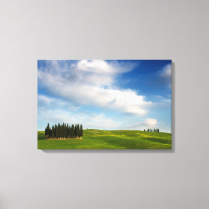 Cypress trees in Tuscany canvas
