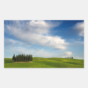 Cypress trees in Tuscany rectangular sticker