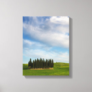 Cypress trees in Tuscany vertical canvas