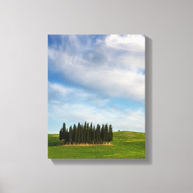 Cypress trees in Tuscany vertical canvas Print (Front)