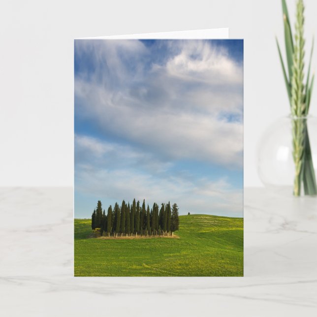 Cypress trees in Tuscany vertical greeting card (Front)