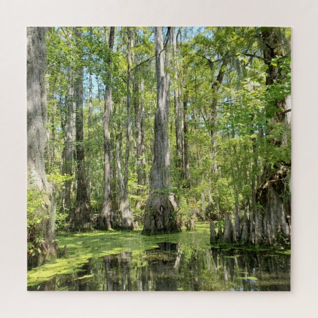 Cypress Trees Jigsaw Puzzle (Vertical)