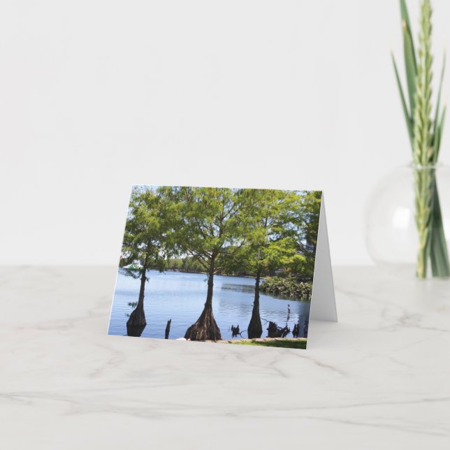 Cypress Trees Photo Folded Note Card (Front)