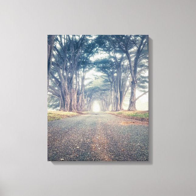 Cypress Tunnel Canvas Print (Front)