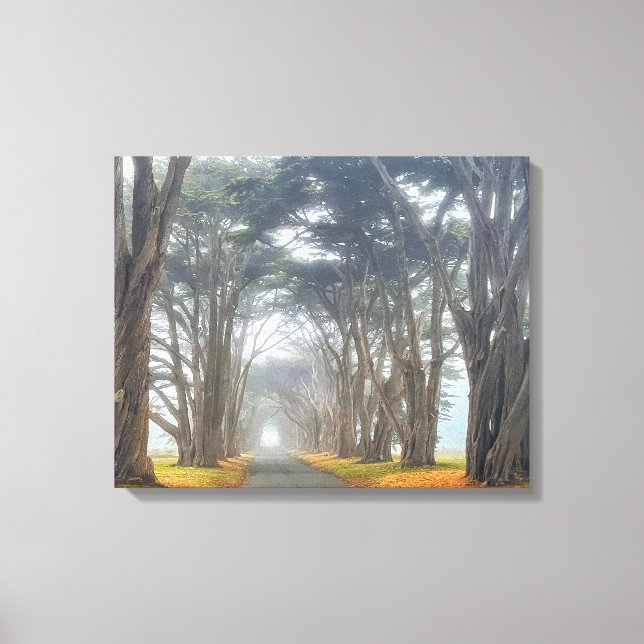 Cypress Tunnel  Canvas Print (Front)