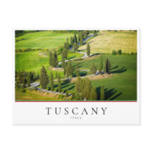 Cypress winding road in Tuscany, Italy