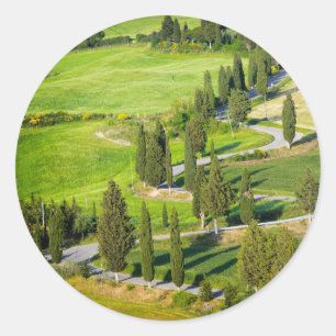 Cypress winding road in Tuscany round sticker