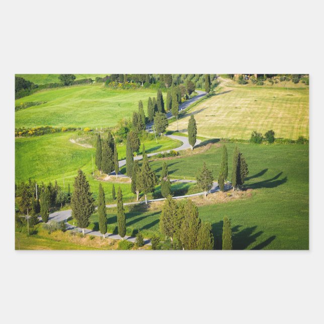 Cypress winding road, Tuscany rectangular sticker (Front)