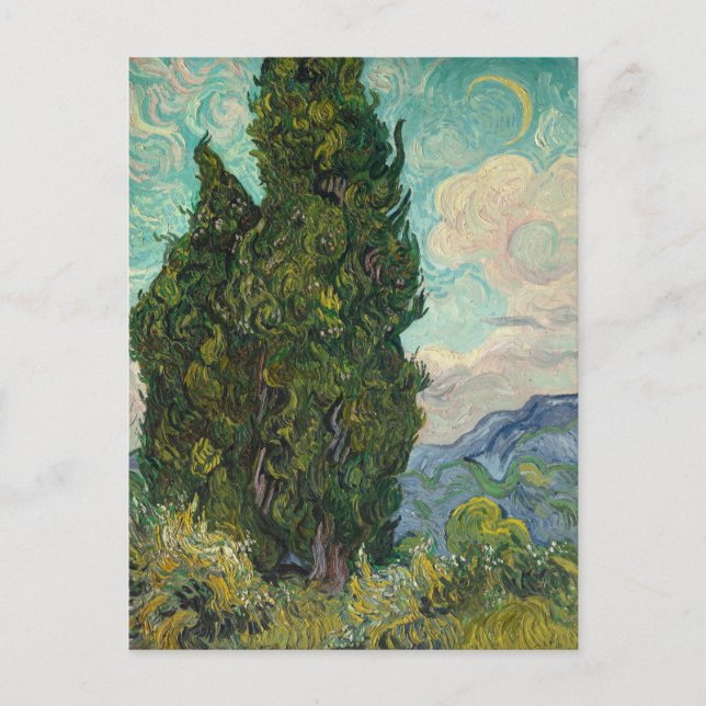 Cypresses by van Gogh: Postcard (Front)