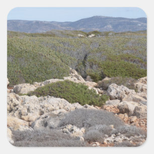 Cyprus Landscape Stickers