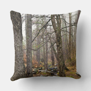 Cyprus nature landscape Troodos forest brown trees Cushion