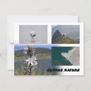 Cyprus nature Postcard