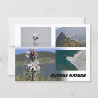 Cyprus nature Postcard