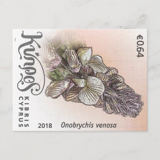 Cyprus nature stamp flower spring flowers purple postcard (Front)