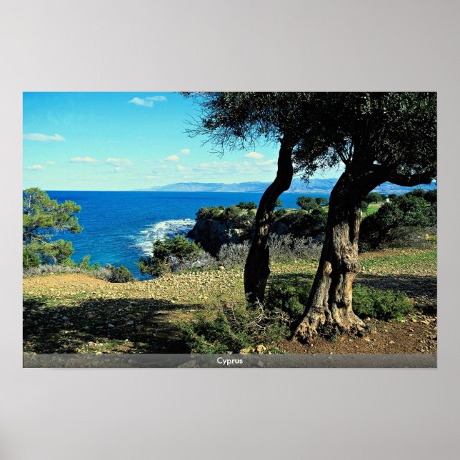 Cyprus Poster (Front)