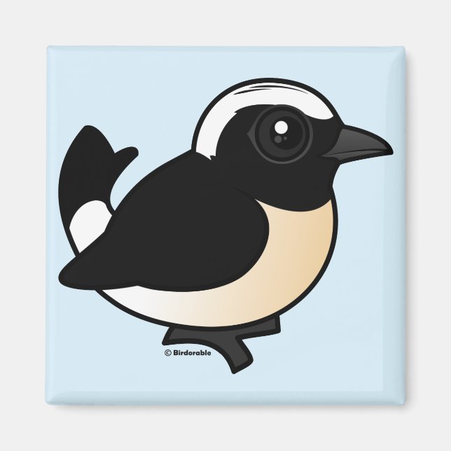 Cyprus Wheatear Magnet (Front)