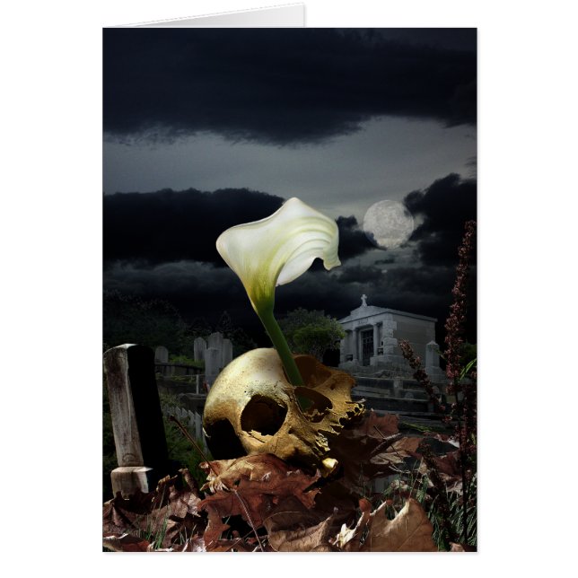 Cyrcle of Life (Front)