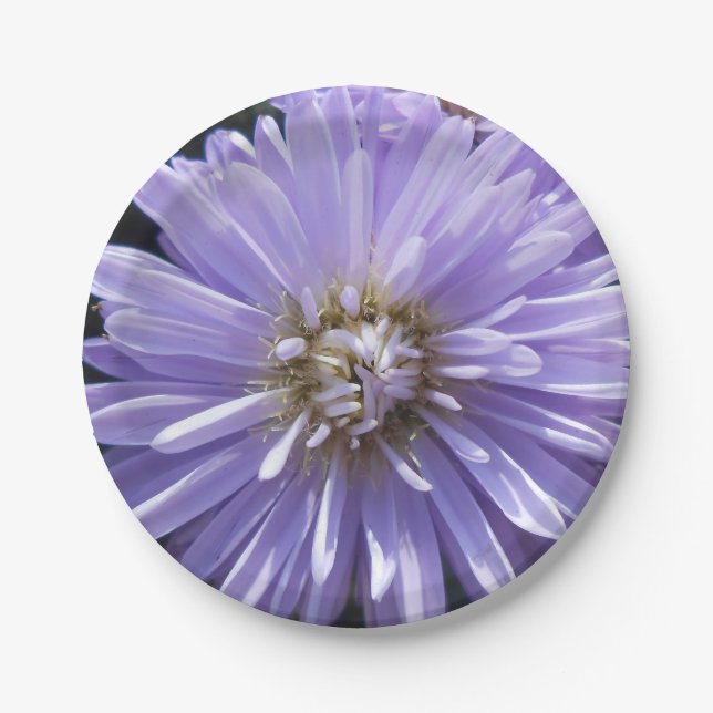 Cyrene Paper Plate (Front)