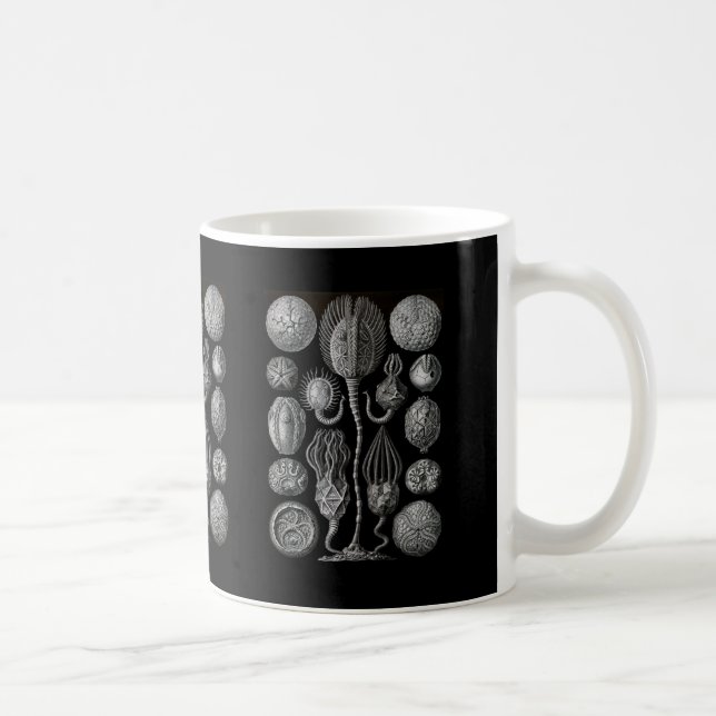 Cystoids Coffee Mug (Right)