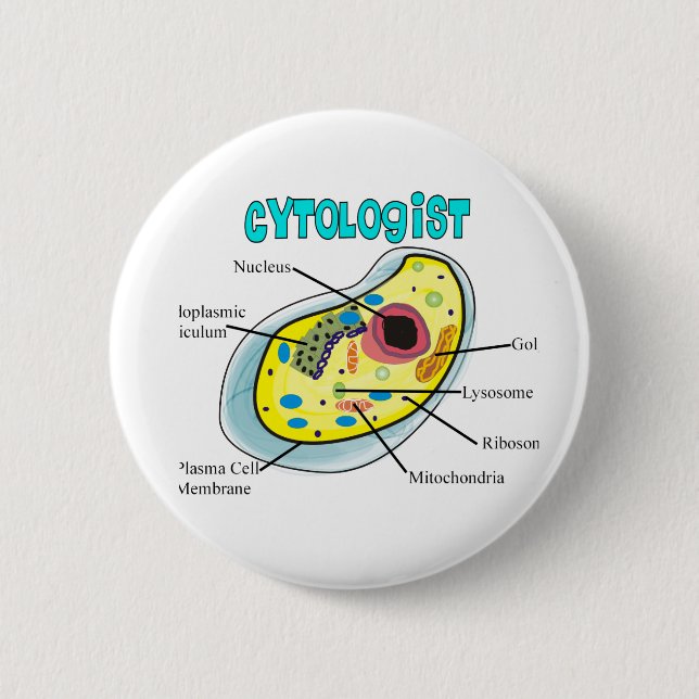 Cytologist Human Cell Drawing Gifts 6 Cm Round Badge (Front)