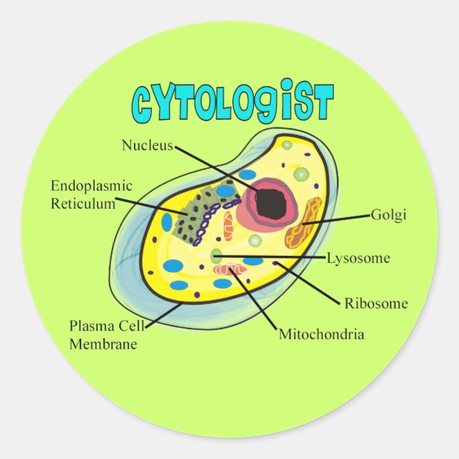 Cytologist Human Cell Drawing Gifts Classic Round Sticker (Front)