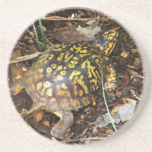 CZ- Box Turtle Coasters (Front)