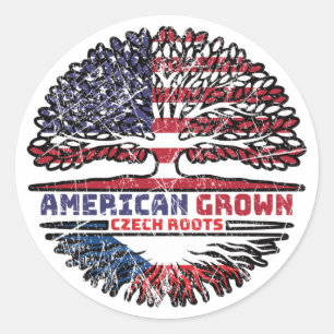 Czech Republic Czech US American USA United States Classic Round Sticker