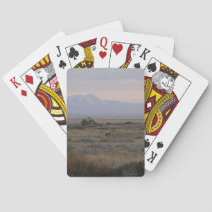 D10 White-tailed Deer and Sweet Grass Hills Playing Cards