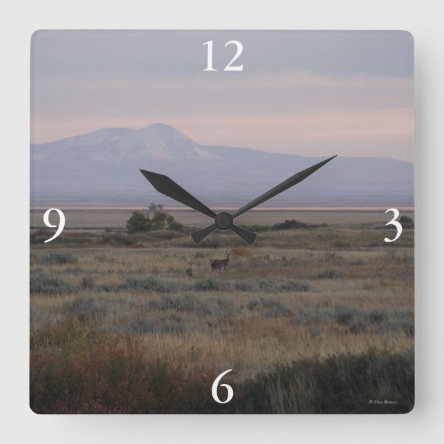 D10 White-tailed Deer and Sweet Grass Hills Square Wall Clock (Front)