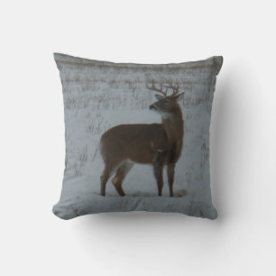 D11 White-tailed Deer Buck in Snow Cushion
