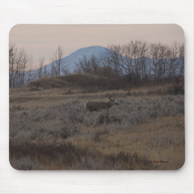 D12 Mule Deer Buck and Sweet Grass Hills Mouse Mat (Front)
