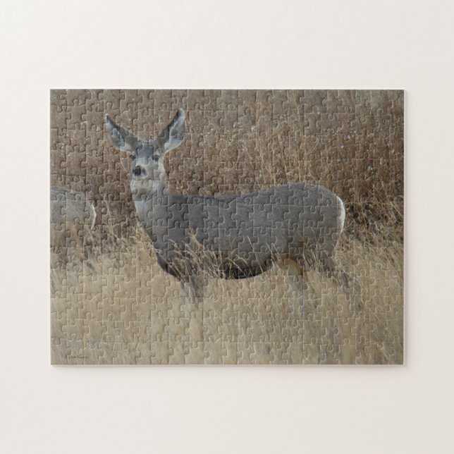 D14 Mule Deer Doe Jigsaw Puzzle (Horizontal)